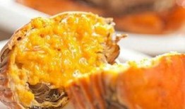 海参最新爆料图片,探寻海洋珍馐的神秘面纱