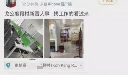 柬埔寨西港最新爆料新闻,最新爆料揭示惊人真相